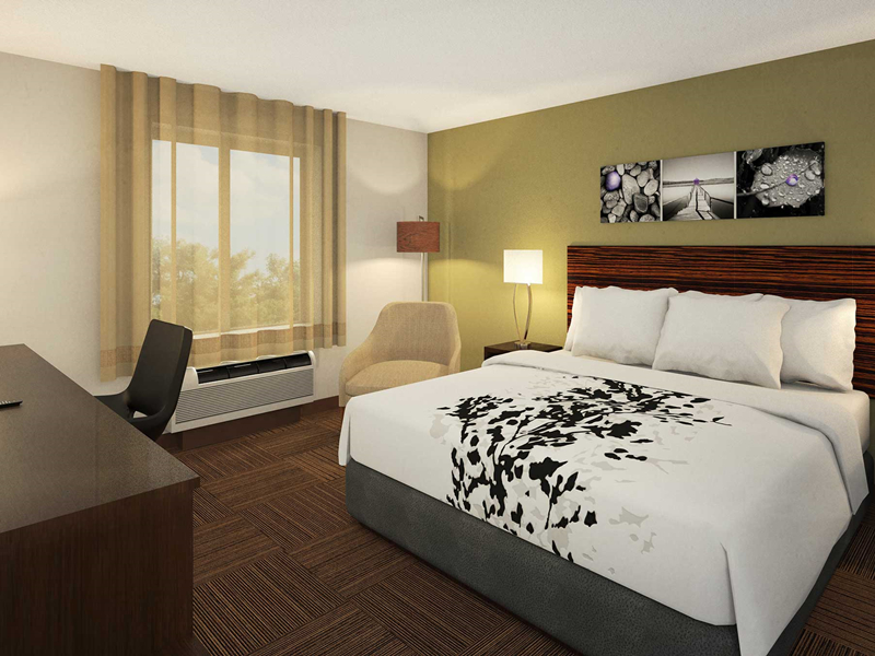 Sleep Inn u0026amp; Suites Meubles de chambre à coucher d'hôtel de style antique